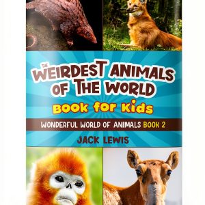 Animals Book for Kids Wonderful World of Animals Starry Dreamer-0